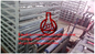 La chaîne de production ignifuge automatique de panneau de MgO de la Chine d'une plus grande capacité 1500 couvre